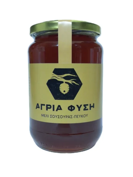 Μέλι σουσούρας (ερείκης φθινοπώρου) - πεύκου